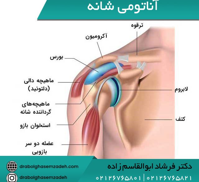 در رفتگی مکرر شانه